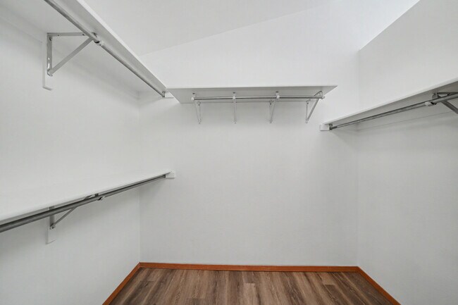 Building Photo - 2348 Forsythia Ct