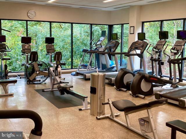 Building Photo - 5904 Mt Eagle Dr