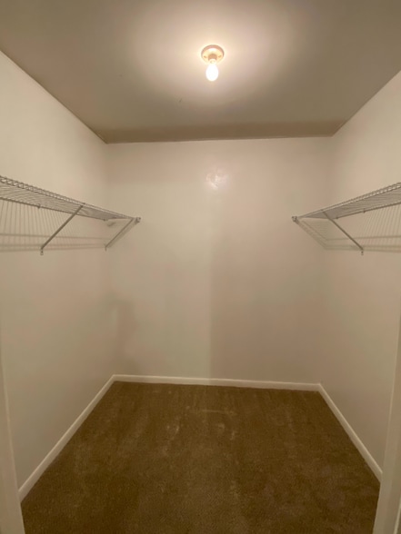 Building Photo - 519 Racine Ln