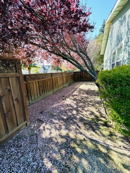 Yard view from kitchen - 504 Montgomery St