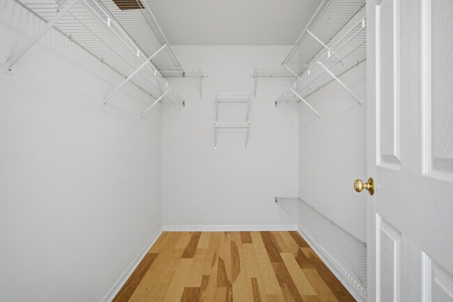 Building Photo - 1929 Golden Gate Ln