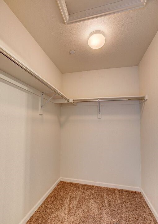 master closet - 4815 Hahns Peak Dr