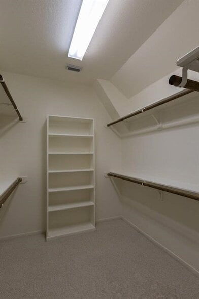 Building Photo - 2511 Sun Spot Ln