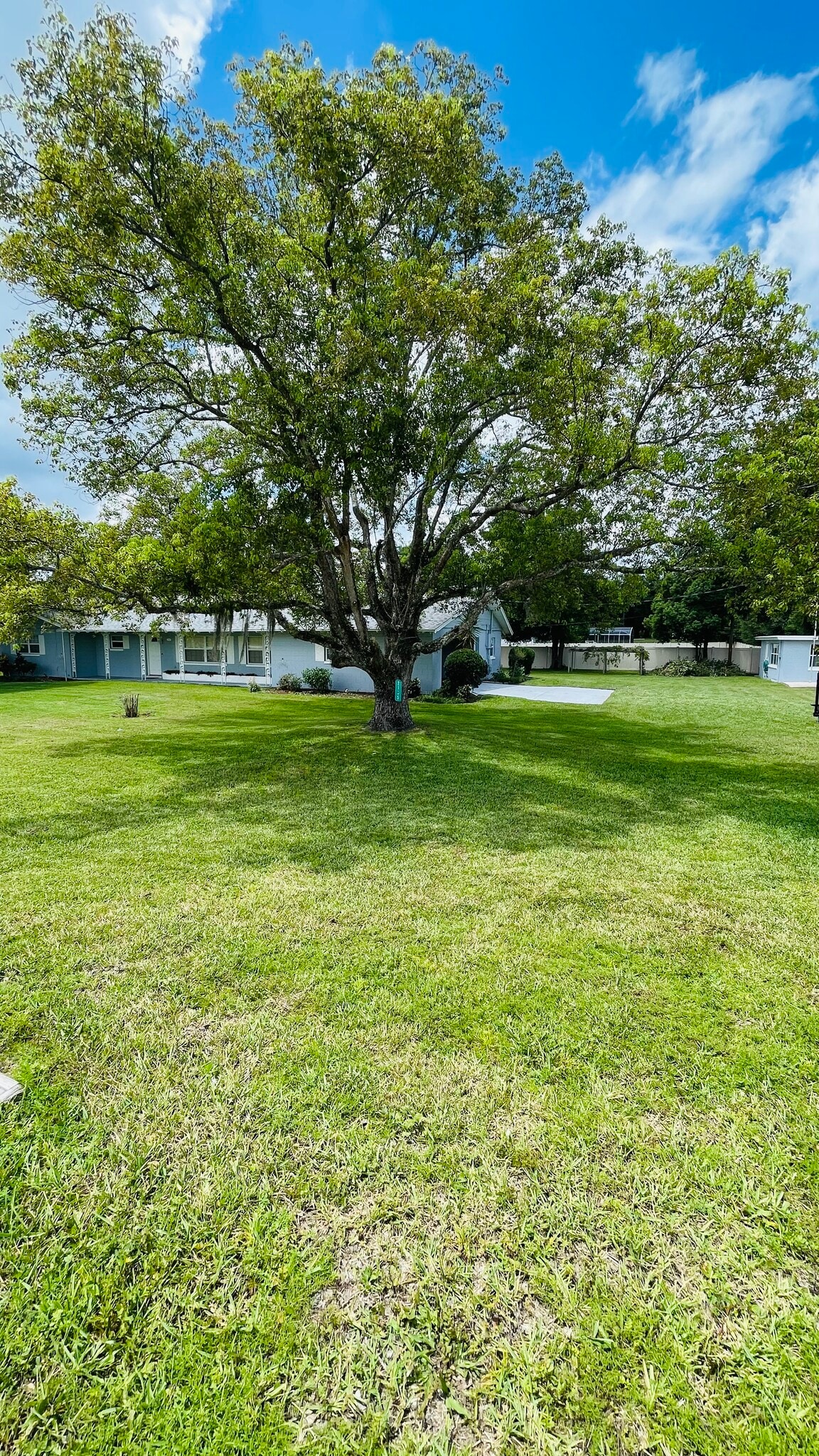 Front Yard - 2155 Alafaya Trail