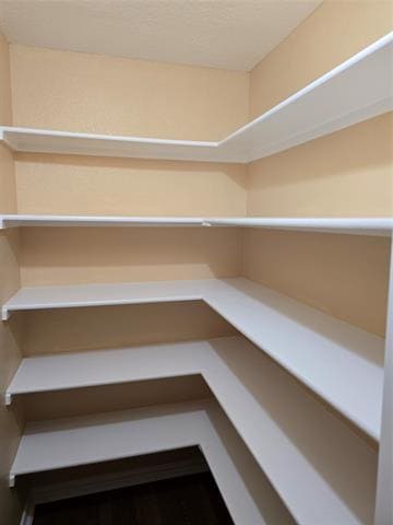 Building Photo - 224 Bluefinch Dr