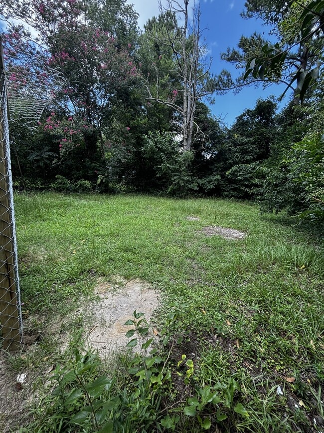 Building Photo - 1127 Olivia Ln