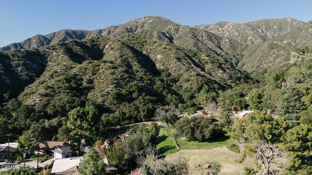 Building Photo - 2409 Olive Ave