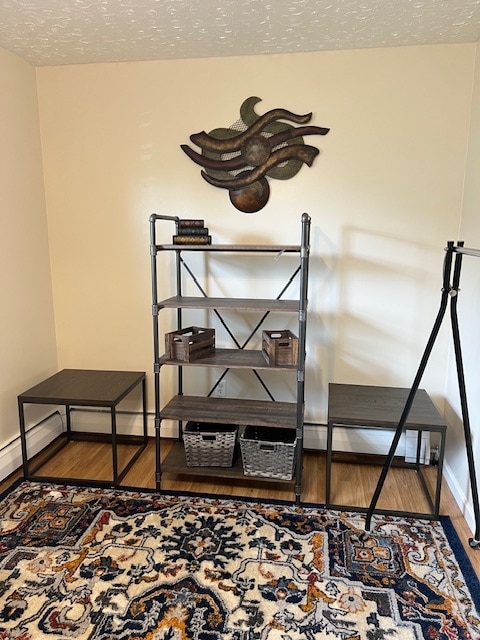 Dressing Room - 327 Myers Ave
