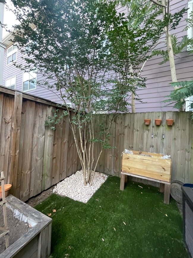 Yard - 276 Ashley Ave
