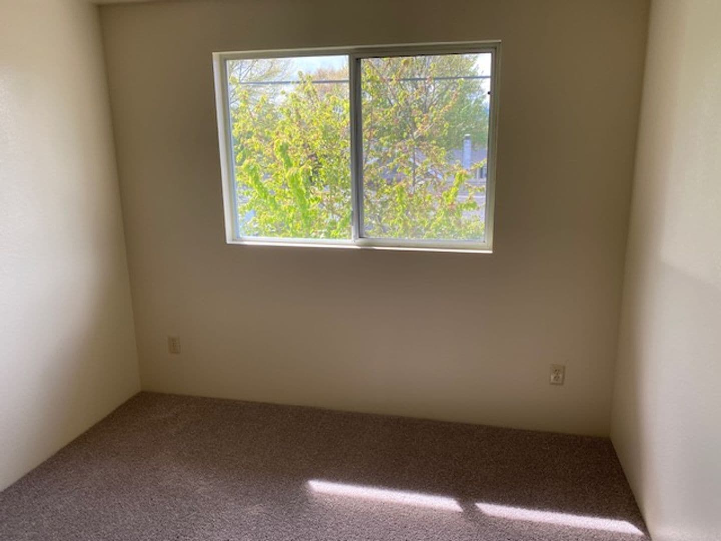 Upstairs bedroom 2 - 329 Bessie St