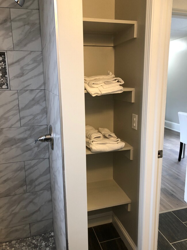 Bathroom shower and linen shelves - 312 E Seneca St