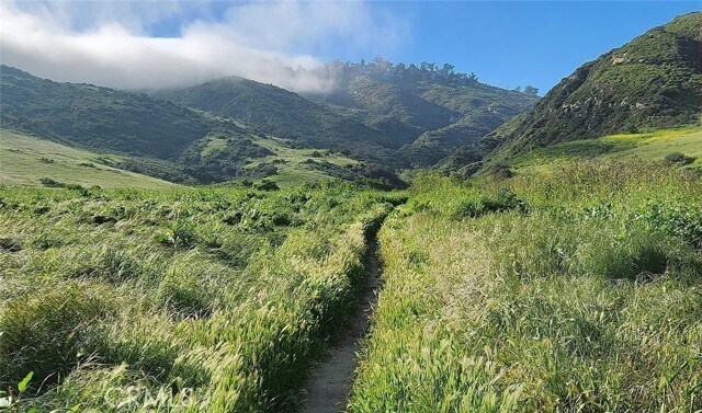 Building Photo - 24212 Davida