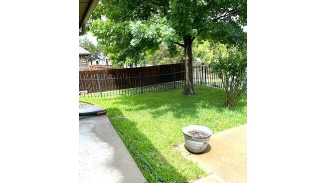 Building Photo - 3815 Sumner Ct