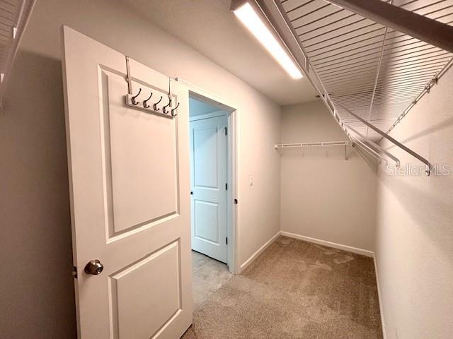 Building Photo - 72 Birchfield Ln