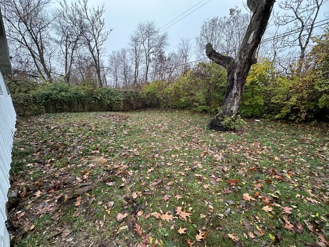 Building Photo - 802 Knollcrest Dr