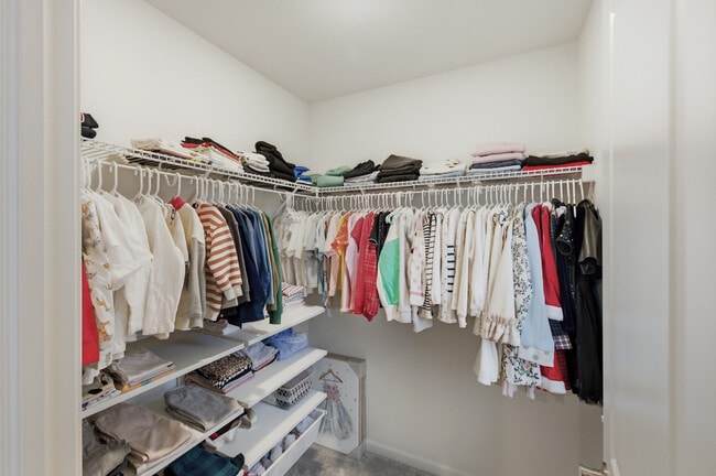 Building Photo - 8503 Rosehall Dr