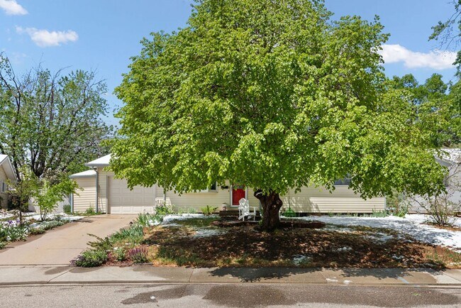 Building Photo - Cute 3 Bedroom Ranch in Loveland