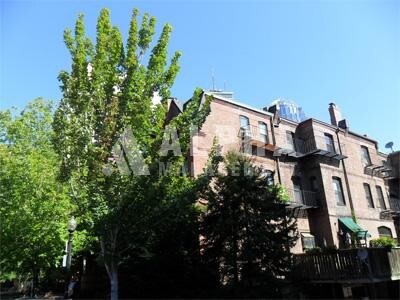 Building Photo - 14 Cumberland St