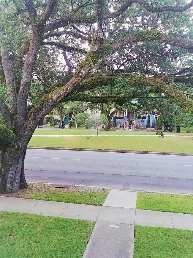 Building Photo - Spacious New Orleans Rental in a Prime Napoleon Ave Location