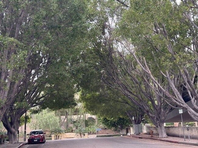 Building Photo - Remodeled 3BD Corner Townhome + Dual Primary Suites + Views | Bella Montana