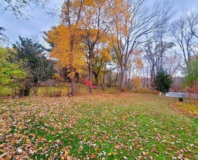 Building Photo - 24 Grapevine Ave