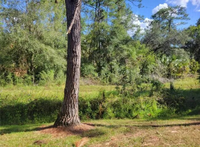 Forest with a great view to the park - 8661 Hunters Key Cir