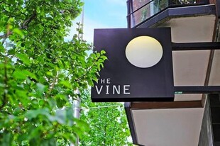 The Vine Condo - 2607 Western Ave