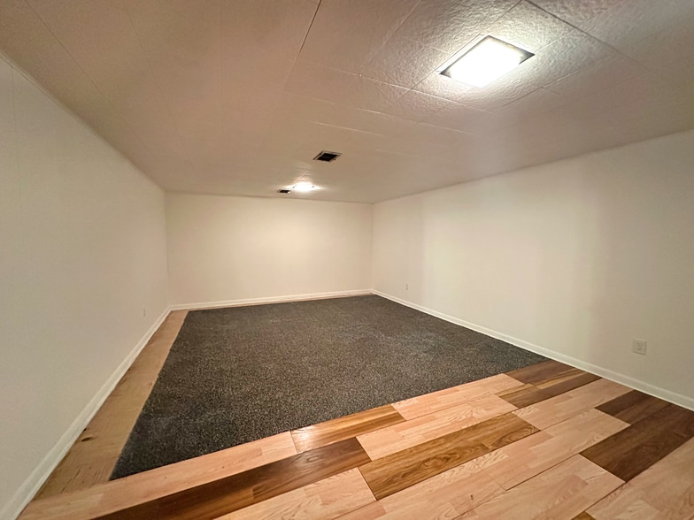 Basement - 848 W Cecil St