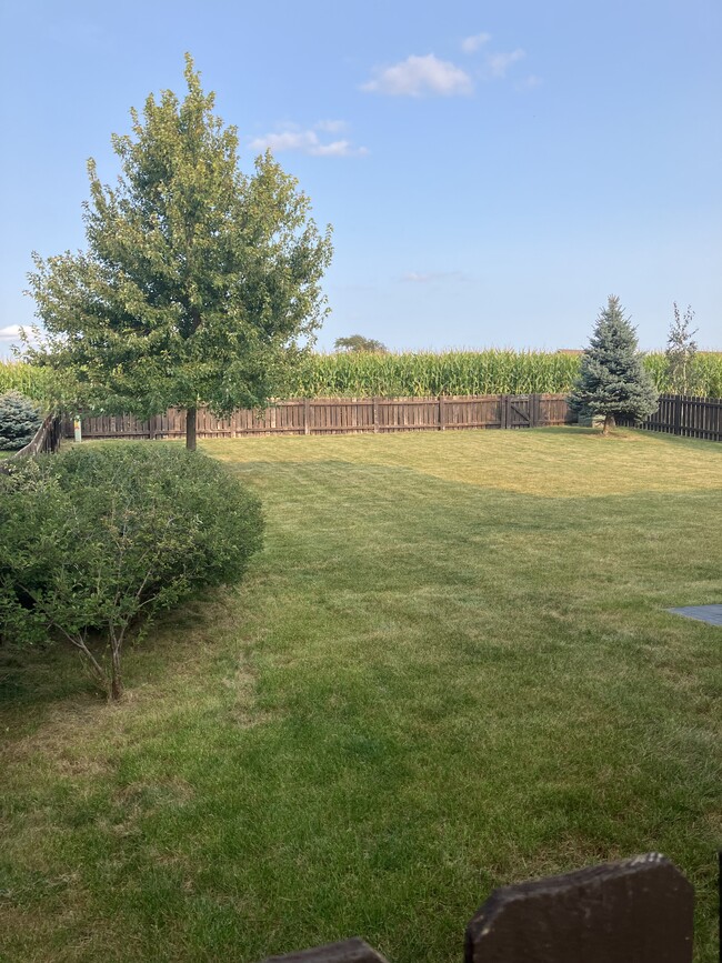 Private, fully fenced backyard - 507 Stone Arbor Trail