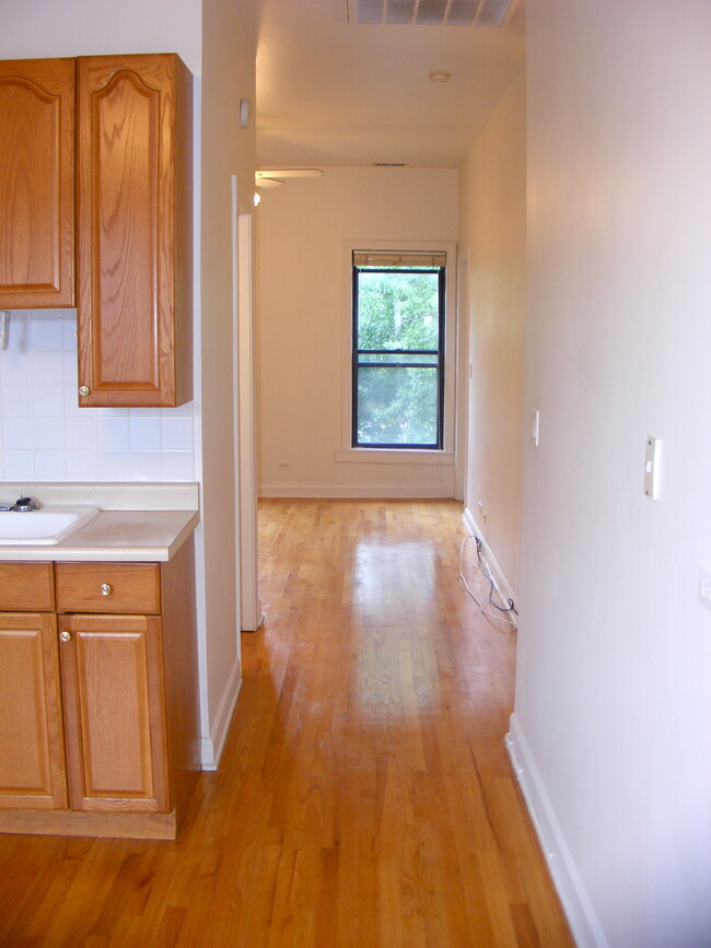907 S. Laflin St - Apt #3 Kitchen / Hallway / Living Room - Harris Point Chicago