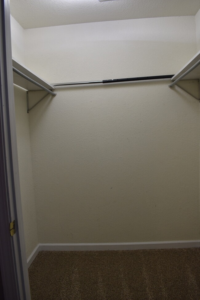 Building Photo - 3608 Shelby Dr