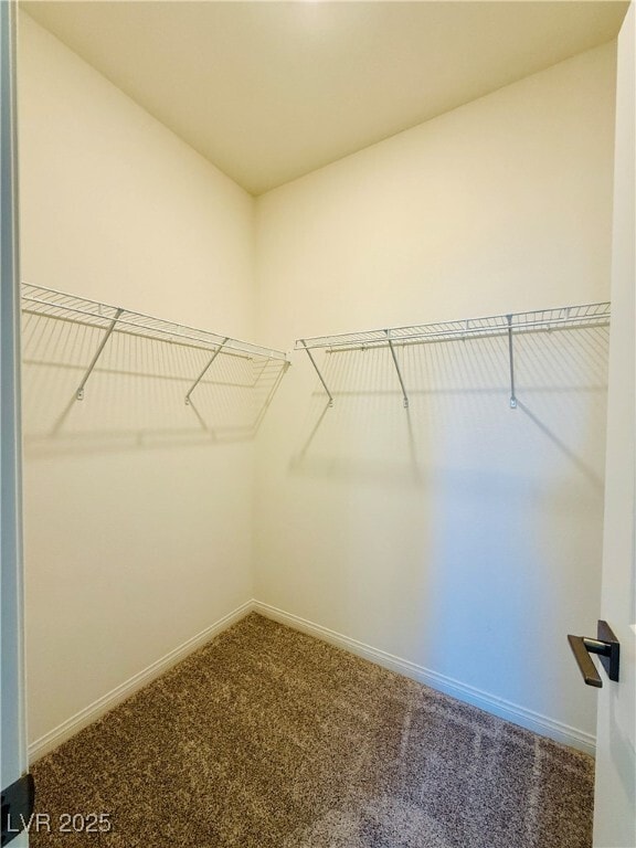 Building Photo - 1544 Little Penguin St