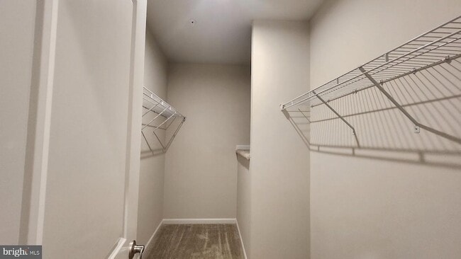 Building Photo - 10145 Dorsey Ln