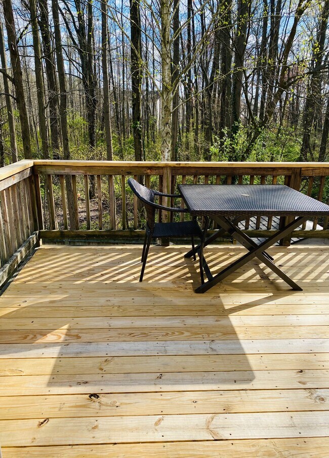 Deck - 12 Flaxleaf Court