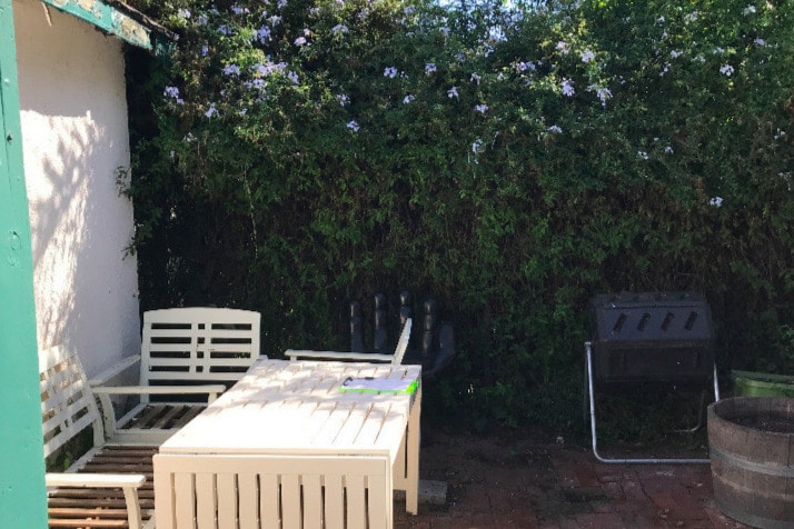 Patio/Yard - 1236 10th St