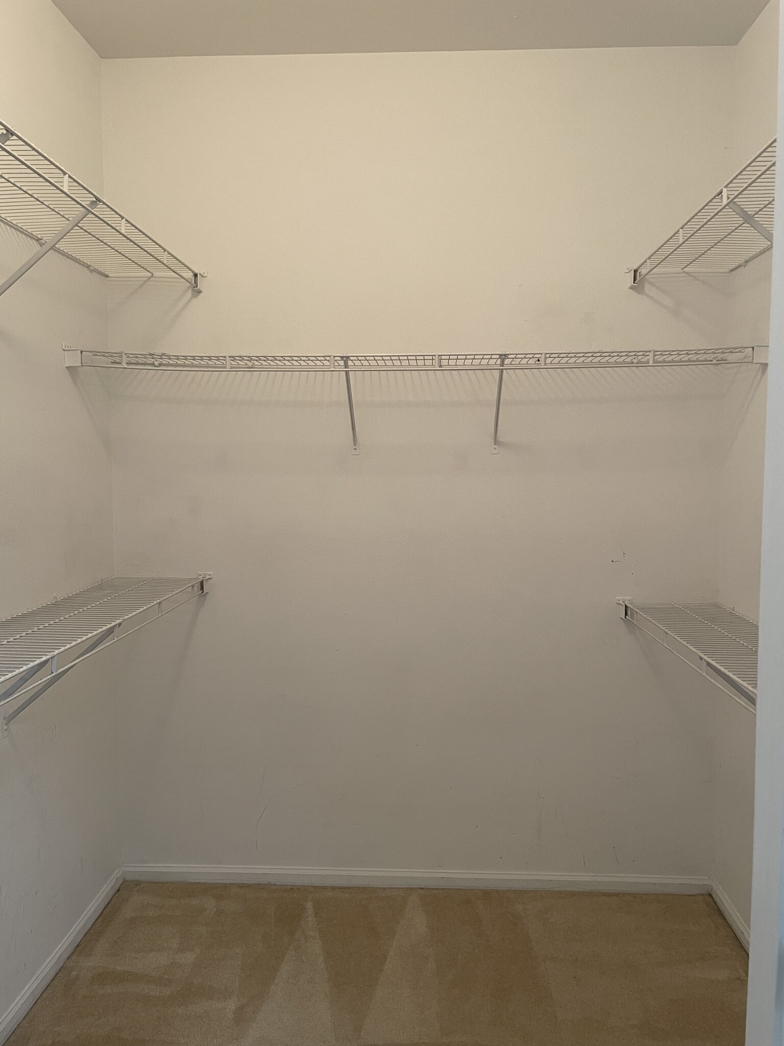 Spacious walk-in closet - 3021 Nicosh Cir