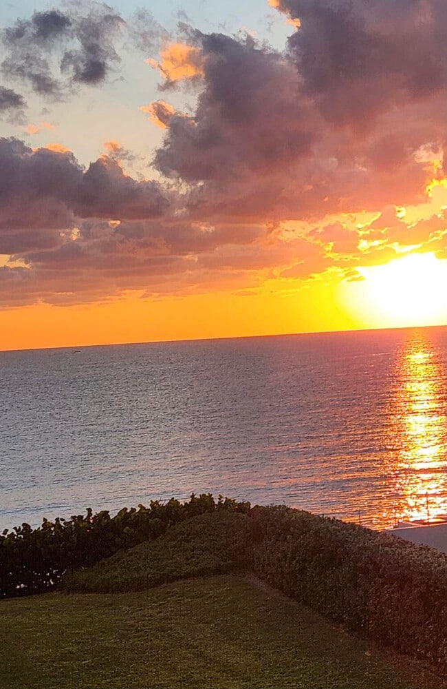 Building Photo - 1237 Hillsboro Mile