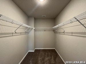 Building Photo - 6912 Cetera Xing