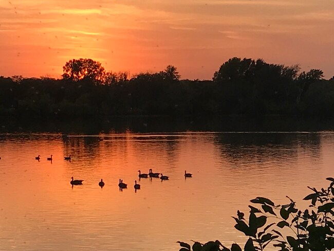 Building Photo - 5212 Bloomington Ave