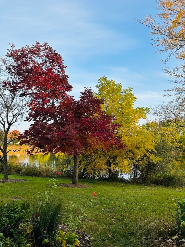 Building Photo - 2350 County Farm Ln