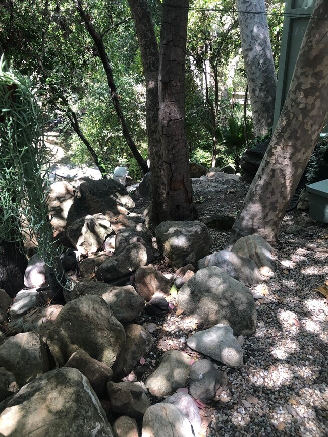 Building Photo - 25605 Wildwood Dr