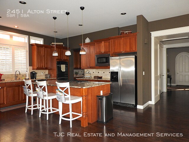 Building Photo - Stapleton Home for Rent! Custom Basement!