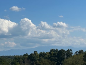 Building Photo - 141 James Way