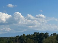 Building Photo - 141 James Way