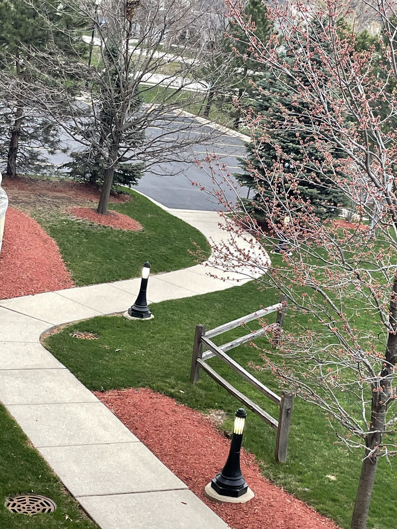 back door walkway to parking lot - 77 N Wolf Rd