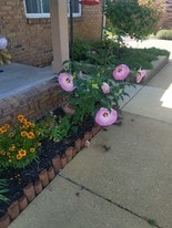 Building Photo - 61035 11 Mile Rd