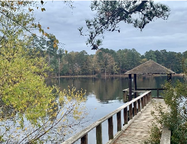 Building Photo - SERENE WOODLAND ESCAPE IN HARBISON