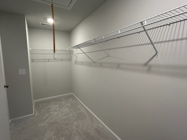 Primary Closet - 266 Peebles Dr