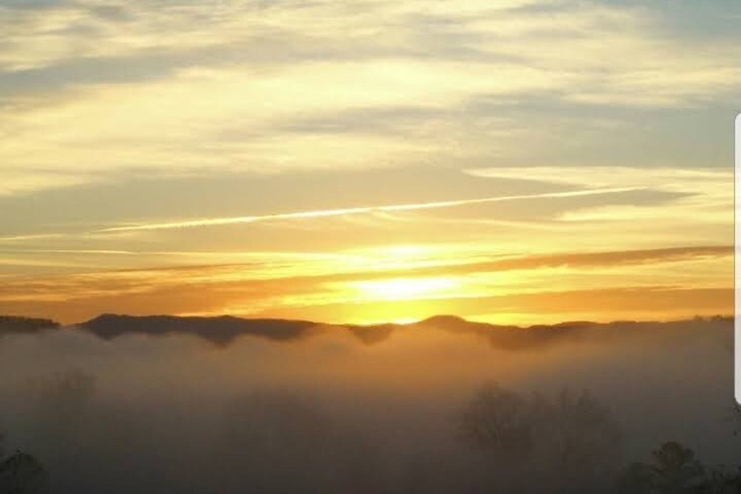 Building Photo - 264 Oak St