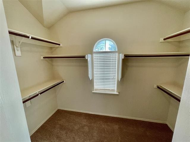 Building Photo - 3008 Winding Meadow Trail